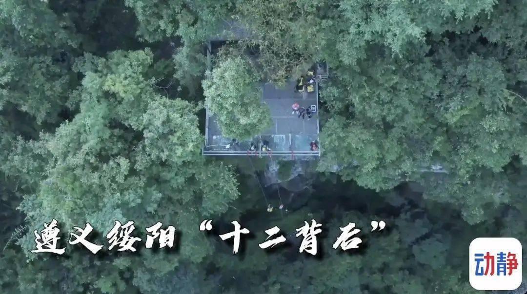 小孔雀逃脱