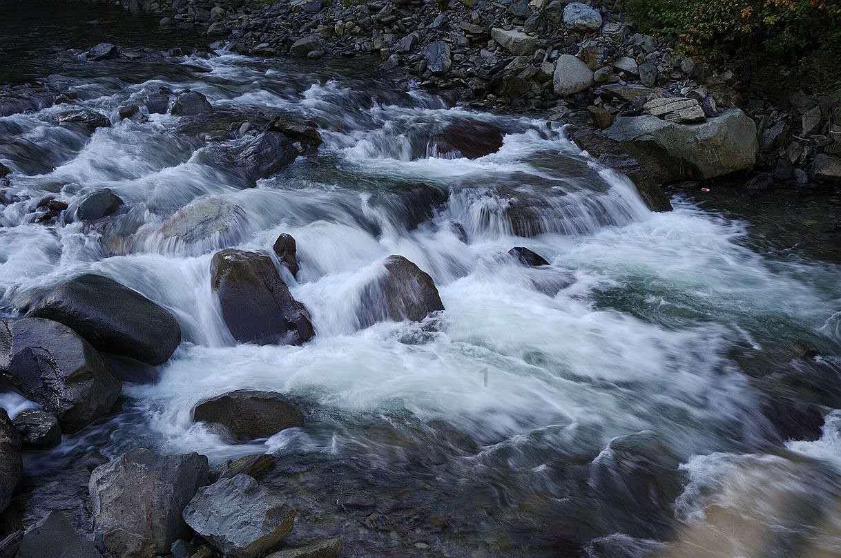 逃离弃城